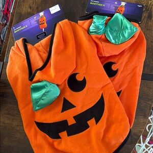 Dog new Pumpkin Costume with Green Bow